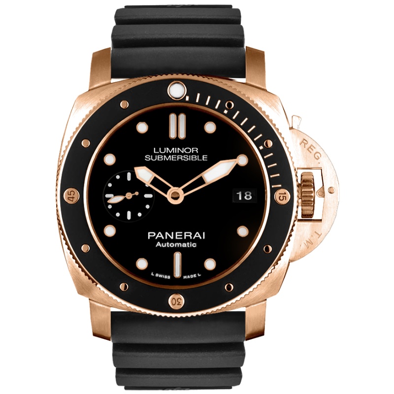 PAM00684
